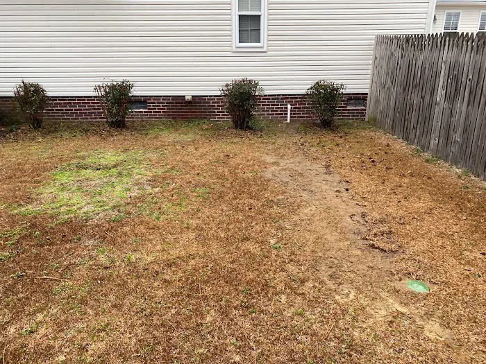 Canady's Termite & Pest Control Picture 6