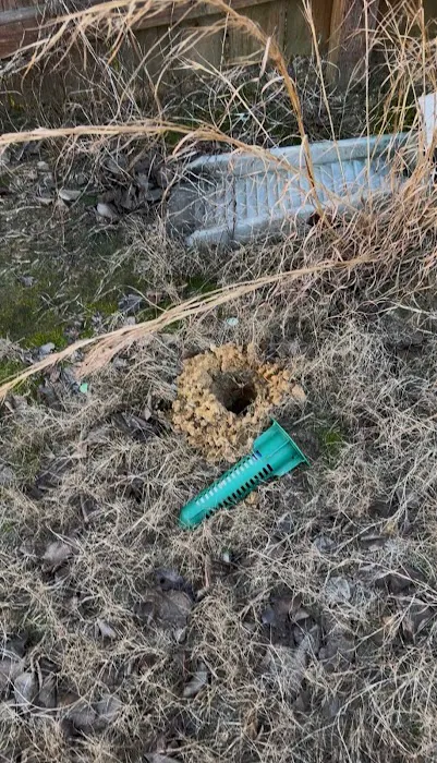 Urbanex Pest Control Picture 7