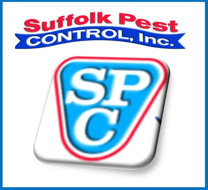 Suffolk Pest Control Picture 1