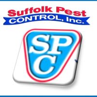 Suffolk Pest Control ico