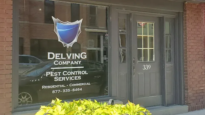 Delving Pest Control Picture 3