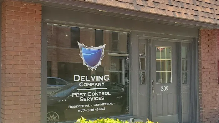 Delving Pest Control Picture 4