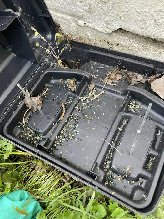 Greenix Pest Control Picture 2