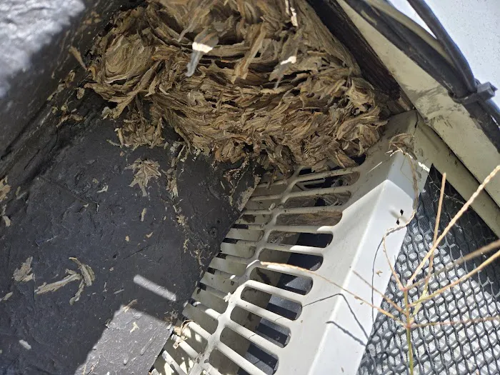 Greenix Pest Control Picture 10