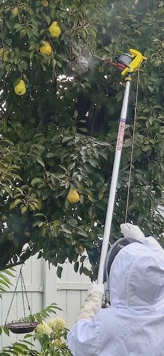 Greenix Pest Control Picture 7