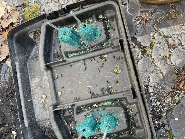 Greenix Pest Control Picture 4