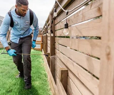 Insight Pest Solutions