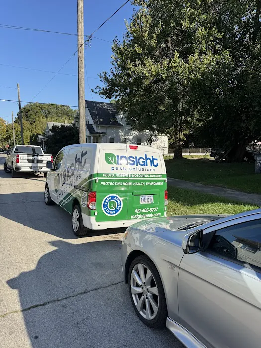 Insight Pest Solutions Picture 9