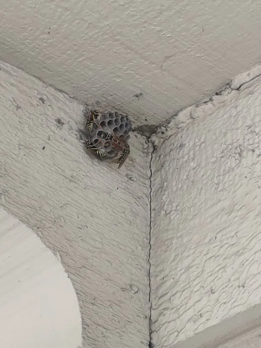 S&S Pest Control Picture 7