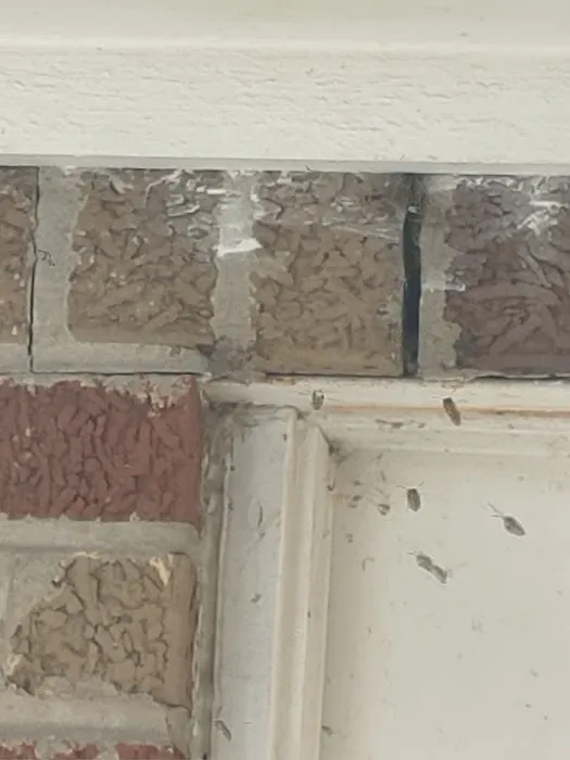 S&S Pest Control Picture 5