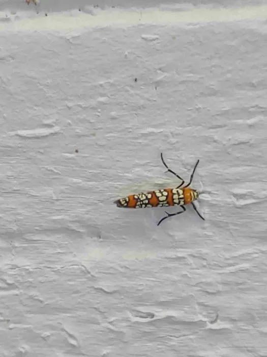 S&S Pest Control Picture 10