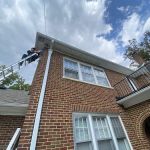 EcoPest Solutions - Pest & Wildlife Management