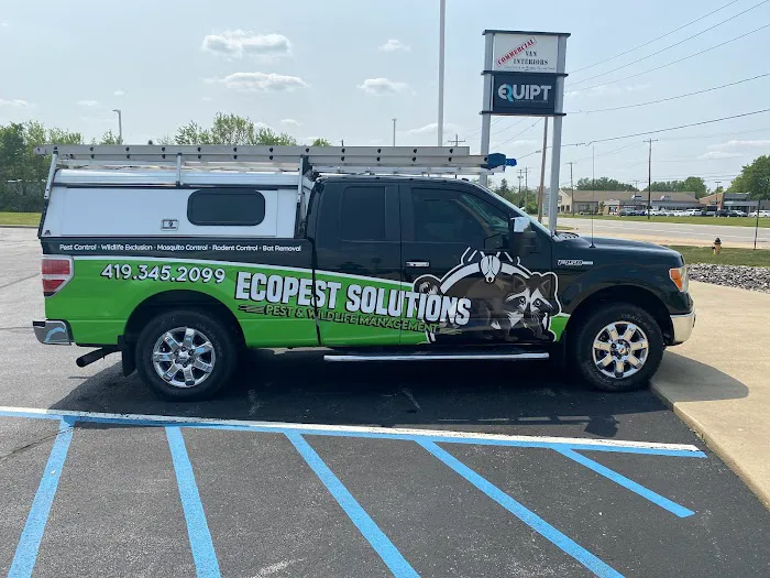 EcoPest Solutions - Pest & Wildlife Management Picture 5