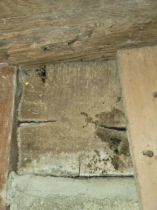 Lowell's Pest Control LLC Picture 3