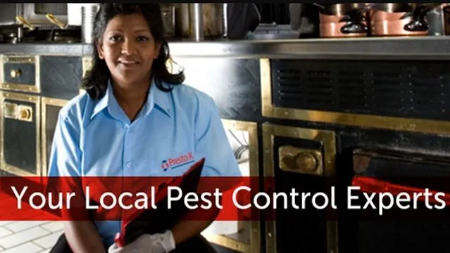Presto-X Pest Control Picture 7