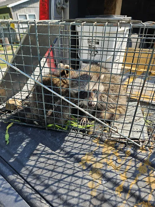 PineRidge Pest & Critter Control Picture 7