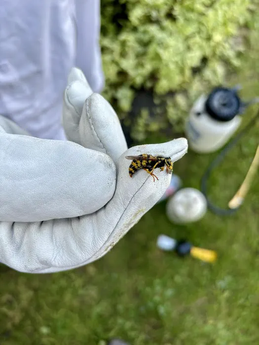 PineRidge Pest & Critter Control Picture 5