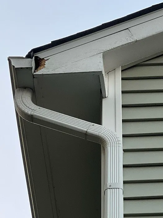 Pest Control PRO - Dublin Picture 1
