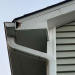 Pest Control PRO - Dublin