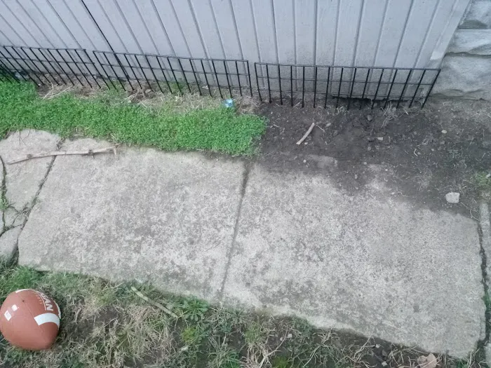 Pest Control PRO - Dublin Picture 9