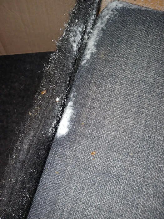Pest Control PRO - Dublin Picture 3