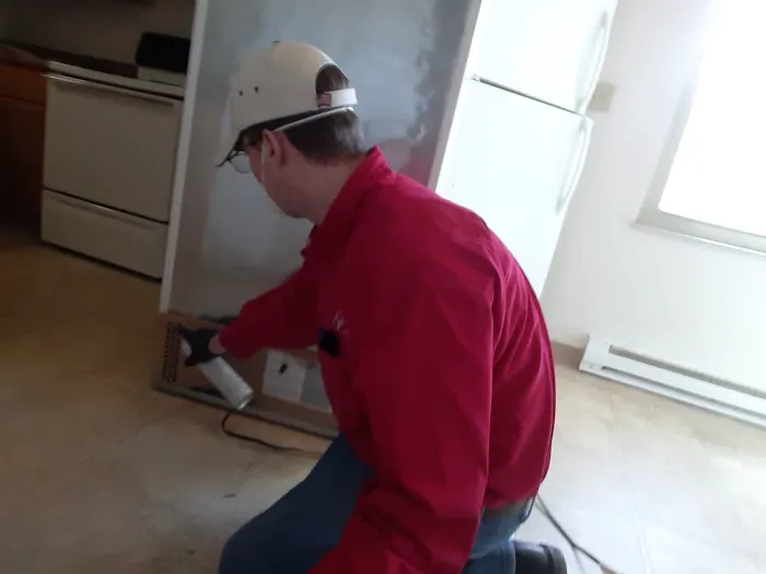 Constant Pest Management Picture 4