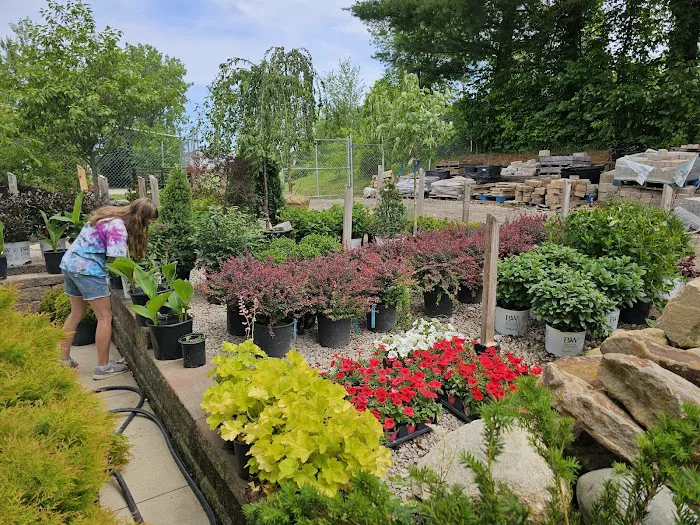 Quality Yard and Home Maintenance, LLC. Picture 2