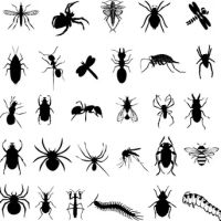 Precision Pest Inspections, Inc. ico