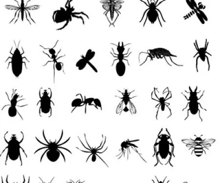 Precision Pest Inspections, Inc.