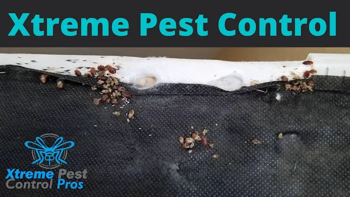 Xtreme Pest Control Picture 7
