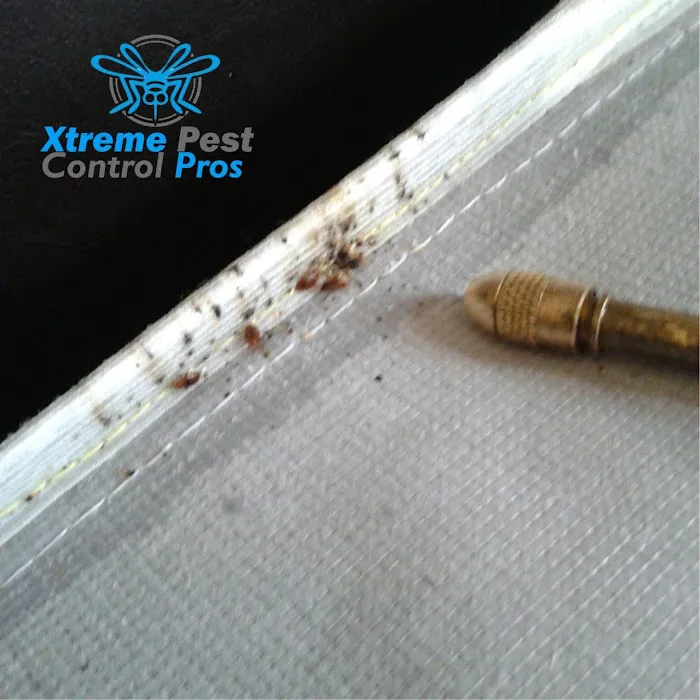 Xtreme Pest Control Picture 6