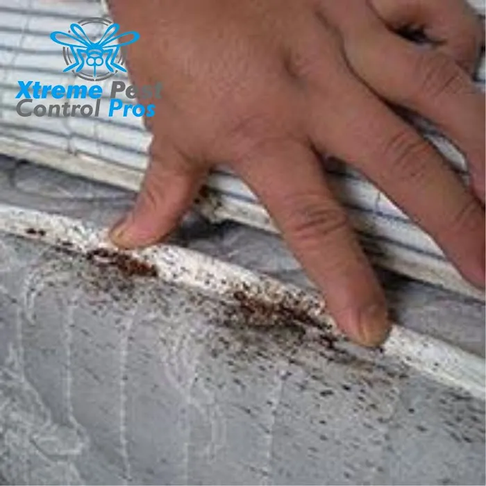Xtreme Pest Control Picture 8