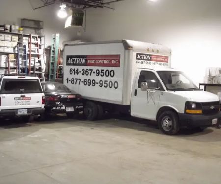 Action Pest Control, Inc.