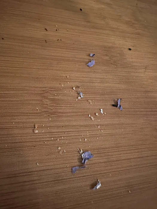 Action Pest Control, Inc. Picture 5