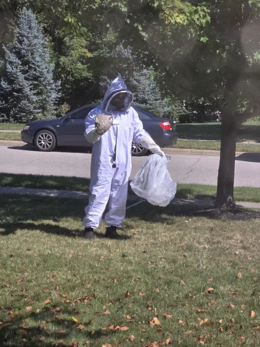 Greenix Pest Control Picture 4