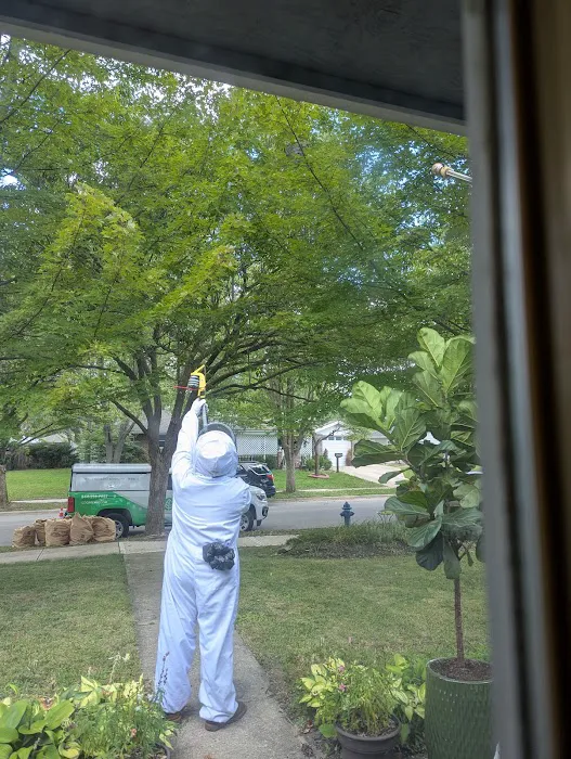 Greenix Pest Control Picture 5