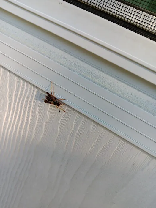 Truly Nolen Pest & Termite Control Groveport Picture 1