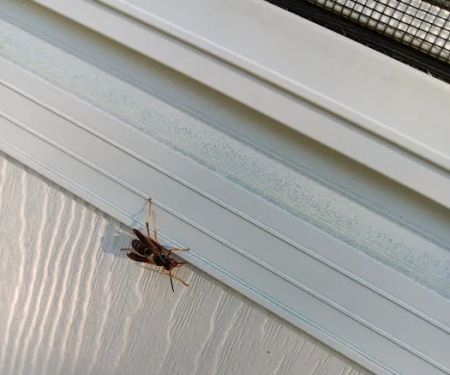Truly Nolen Pest & Termite Control Groveport