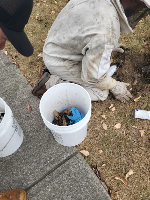 Truly Nolen Pest & Termite Control Groveport Picture 10