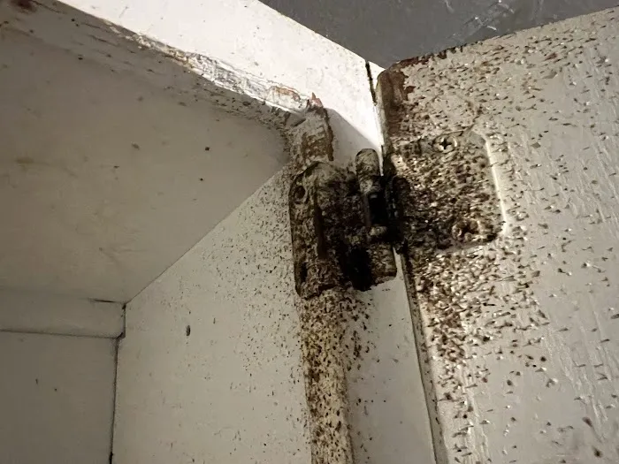 BB Bed Bug Exterminator of Reynoldsburg Picture 5