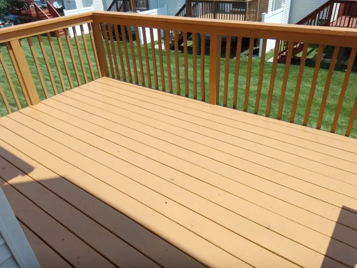 Honey Please Rescue These Bees Bee & Wasp Removal & Home Remodeling Picture 4