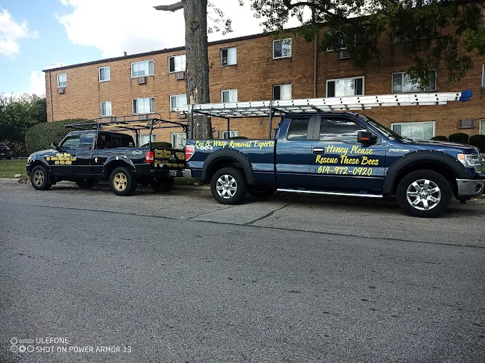 Honey Please Rescue These Bees Bee & Wasp Removal & Home Remodeling Picture 6