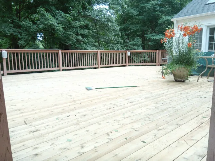 Honey Please Rescue These Bees Bee & Wasp Removal & Home Remodeling Picture 9