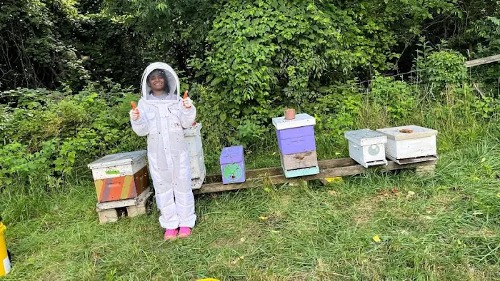Honey Please Rescue These Bees Bee & Wasp Removal & Home Remodeling Picture 2