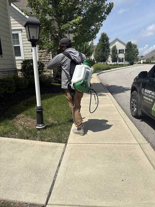 Essential Pest Control Picture 1
