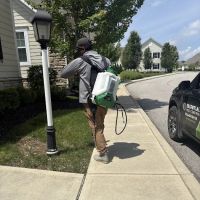 Essential Pest Control ico