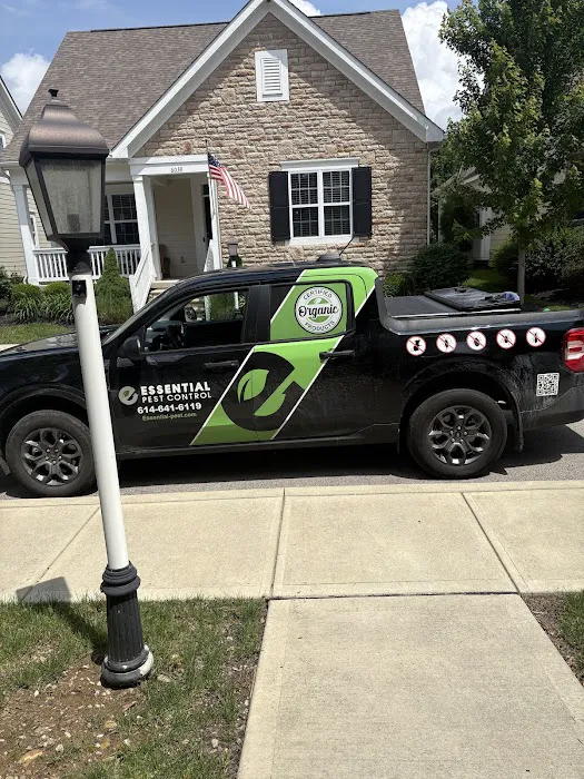 Essential Pest Control Picture 7