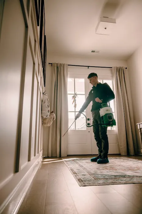 Essential Pest Control Picture 5
