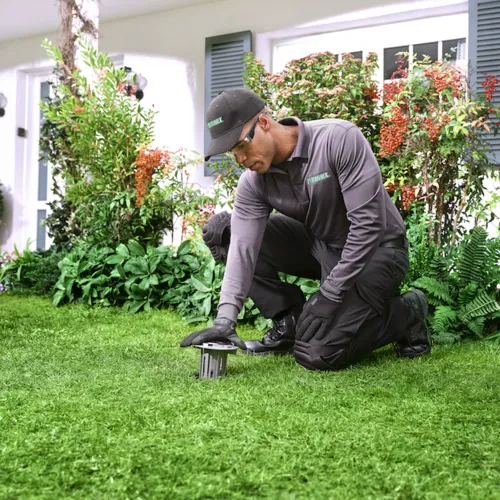 Terminix Commercial Picture 10