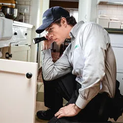 Terminix Commercial Picture 7